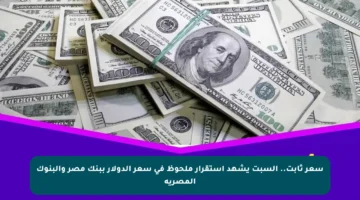 سعر ثابت.. السبت يشهد استقرار ملحوظ في سعر الدولار ببنك مصر والبنوك المصرية